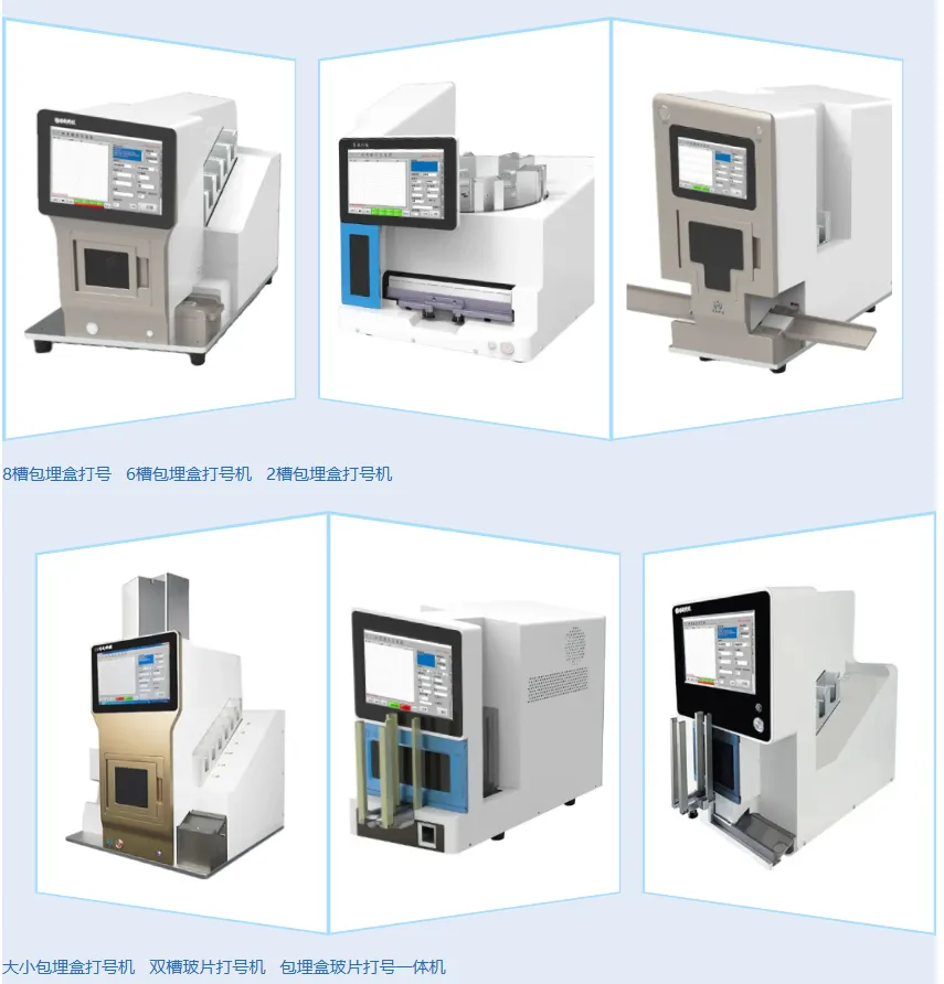 news-15 tin tức-15