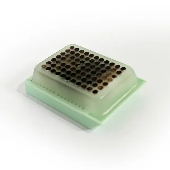Vật tư y tế d&ugrave;ng một lần Khối microarray m&ocirc; được sử dụng để kiểm tra vật liệu nghi&ecirc;n cứu khoa học